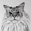 © KLArt.co.uk  Leo Portrait
