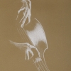 © KLArt.co.uk  Study in the Bass Clef - Cello