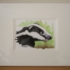 © KLArt.co.uk - Brock Badger Print