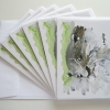© KLArt.co.uk - Curious Otter Cards