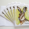 © KLArt.co.uk - Mr Hare Cards