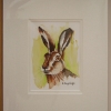 © KLArt.co.uk - Mr Hare Print