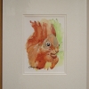 © KLArt.co.uk - Shadow Tail Red Squirrel Print