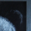 © KLArt.co.uk Panda Eyes