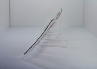 © KLArt.co.uk Pretty in Pink Glass Plate profile