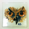 © KLArt.co.uk Owl Glass panel