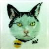 © KLArt.co.uk Bonzo Glass Portrait
