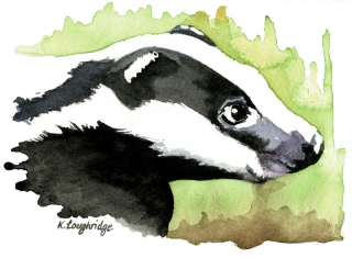 © KLArt.co.uk Brock Badger