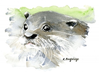 © KLArt.co.uk Curious Otter