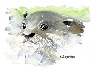 017 © KLArt.co.uk Curious Otter