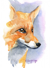018 © KLArt.co.uk Foxy