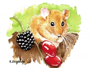 016 © KLArt.co.uk Hazel Dormouse