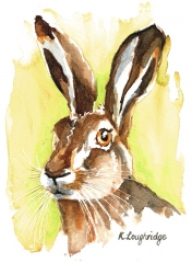 012 © KLArt.co.uk Mr Hare