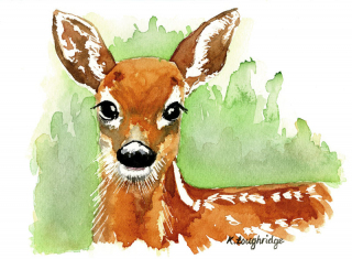 019 © KLArt.co.uk Aristocratic red Deer