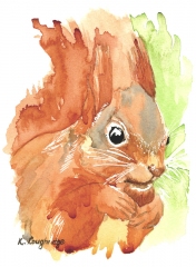 014 © KLArt.co.uk Shadow Tail Red Squirrel