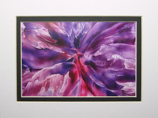 026 © KLArt.co.uk Butterfly Wings