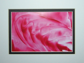 030 © KLArt.co.uk Raspberry Ripple