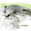 017 © KLArt.co.uk Curious Otter