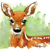 019 © KLArt.co.uk Aristocratic red Deer