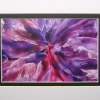 026 © KLArt.co.uk Butterfly Wings
