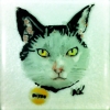 © KLArt.co.uk Bonzo Glass Portrait