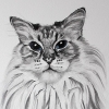 © KLArt.co.uk  Leo Portrait