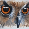 Owl Watercolour image